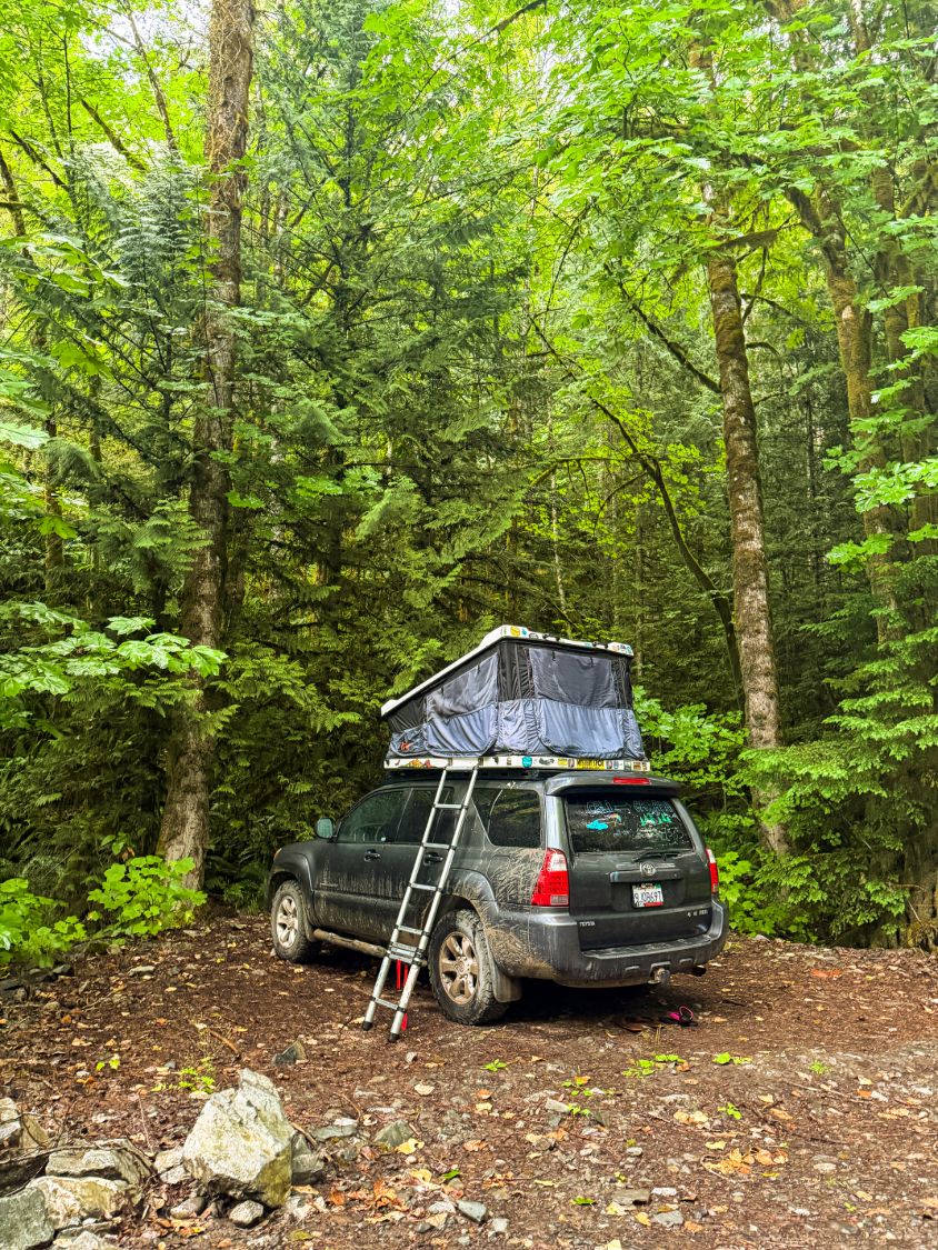 The 4Runner at camp in a green forest clearing with the rooftop tent popped open and a ladder leaning on the side