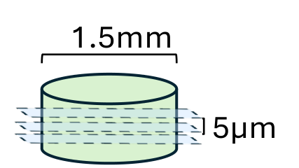 Diagram of a cylindrical tissue core 1.5 mm across, sliced into 5 micrometre sections