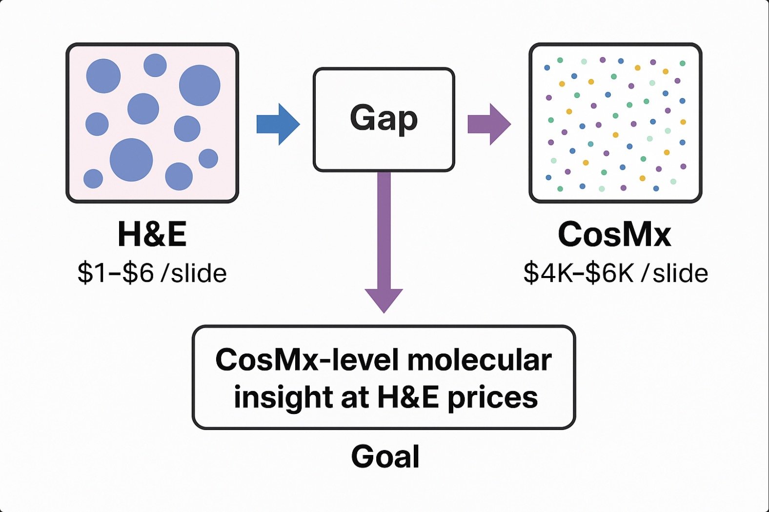 Diagram: H&E at $1–6 per slide, a gap, and CosMx at $4K–6K per slide; the goal is CosMx-level insight at H&E prices