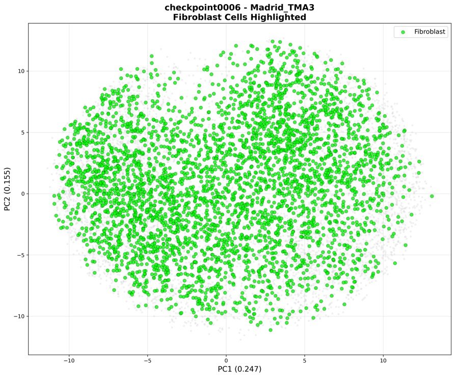 PCA plot with fibroblasts highlighted in green