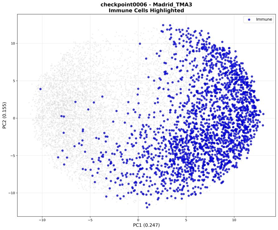 PCA plot with immune cells highlighted in blue