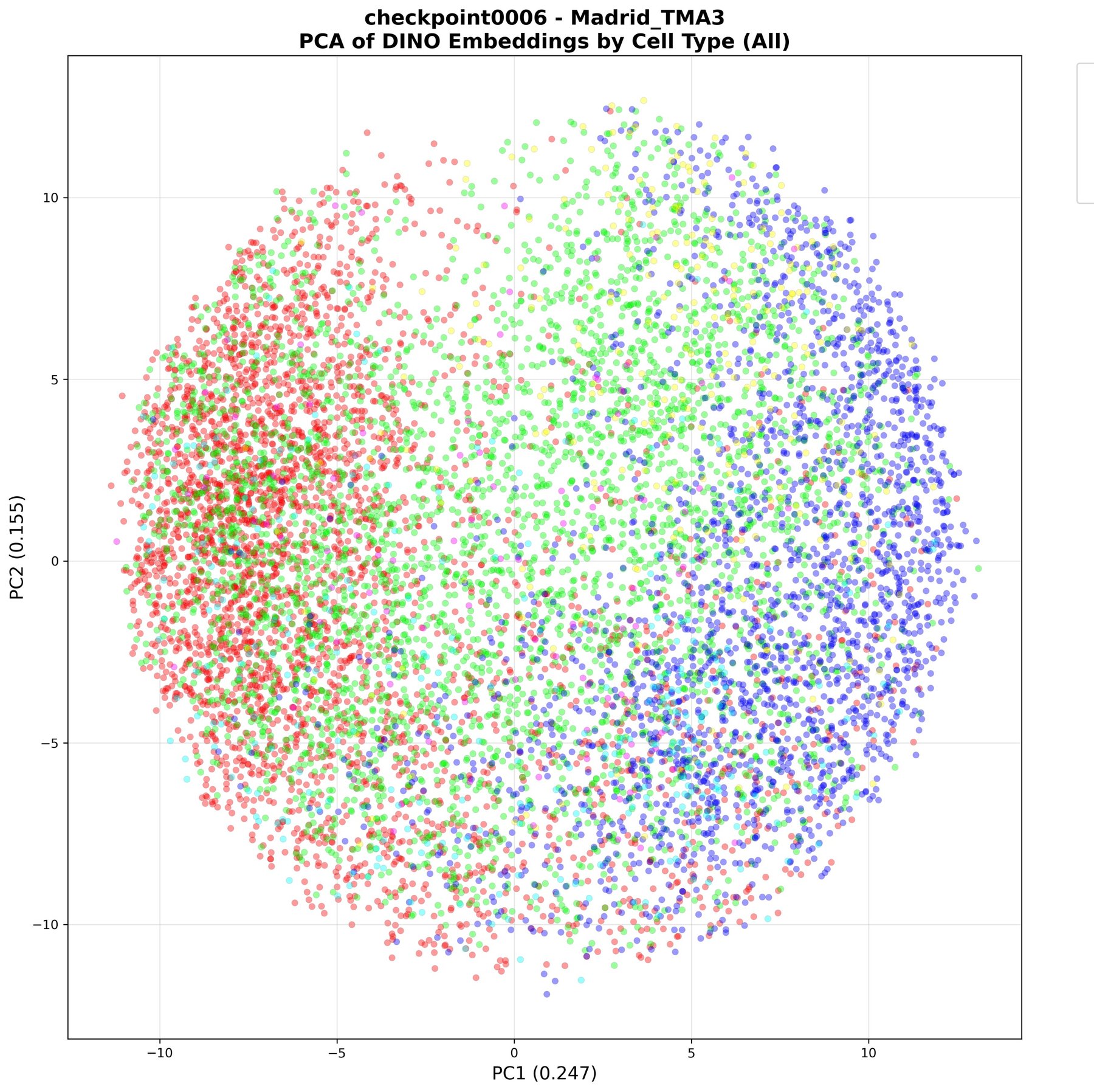 PCA scatter plot of DINO embeddings coloured by cell type: red cancer cells on the left, blue immune cells on the right, green fibroblasts spread throughout