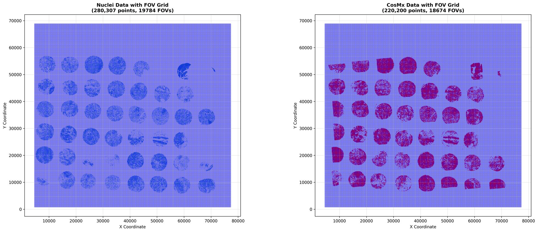 Two plots: H&E nuclei on an FOV grid (280,307 points, 19,784 FOVs) and CosMx cells on an FOV grid (220,200 points, 18,674 FOVs)
