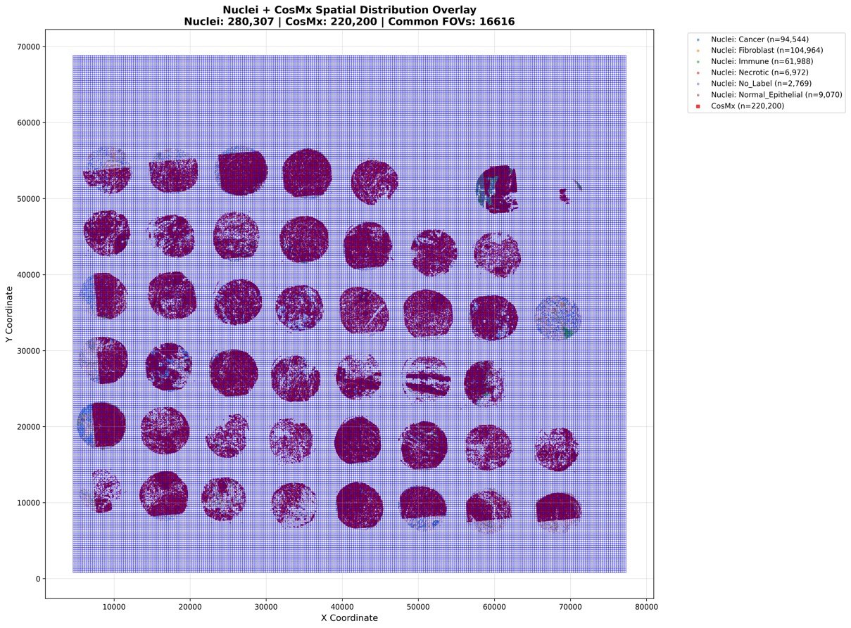 Scatter plot overlaying H&E nuclei and CosMx cells on a grid of fields of view
